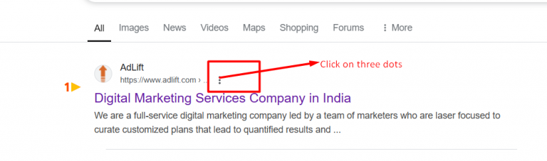 What Are Google Cache Websites & How to View Them?