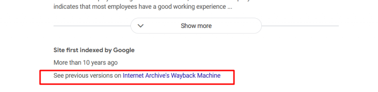 What Are Google Cache Websites & How to View Them?