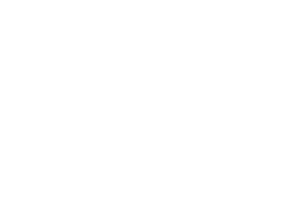 chargepoin+