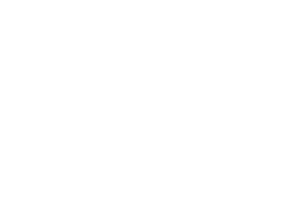 Thoughtspot